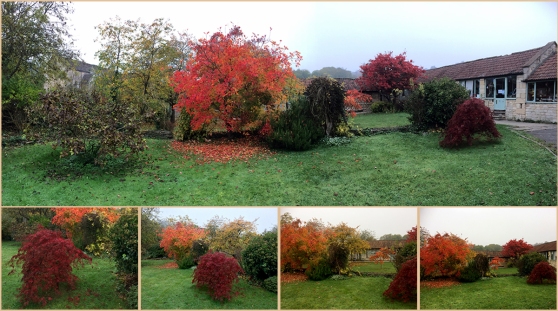 tithebarn workshops autumnal colours